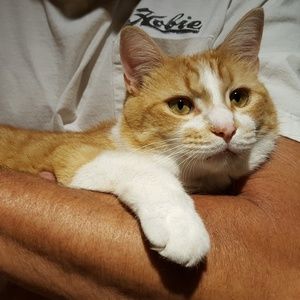 Meet your Posher, Haley